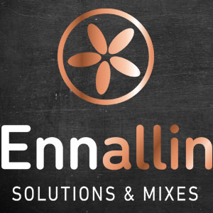 Logo Ennallin Solutions & mixes cuivre